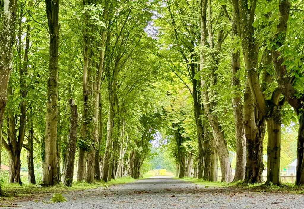 Gesetz gegen Greenwashing